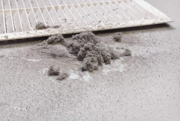 Best Residential Air Duct Cleaning  in Earlysville, VA
