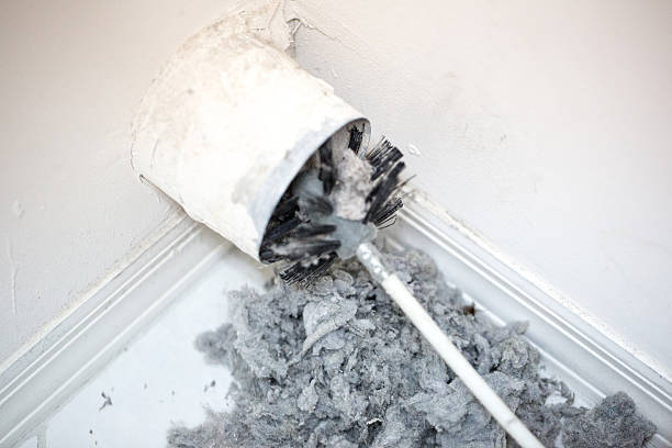 Best HVAC Air Duct Cleaning  in Earlysville, VA